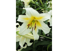 43,8���. ����� ���� �������(�������� ���� �� 5 ��., ����������� ����� 1��.).jpg