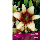 ����� ������.jpg