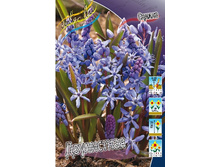 9,22���. ������ ����������(���������� ������ ������ ���������� �� 10 ��.).jpg