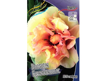 1209,9���. ���� ������ ���������� (���)(�������� ���� �� 1 ��., ����������� ����� 1��.).jpg