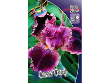 81,8���. ���� ���������� ���� ���(�������� ���� �� 2 ��., ����������� ����� 1��.).jpg