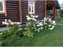 ����� ������� �������, ������, �������. ��� � ��� ����.���� ������� 1.08.16