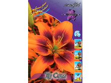 36,98���. ����� �� ���(�������� ���� �� 5 ��., ����������� ����� 3��.).jpg