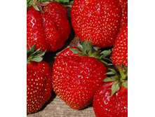 ��������� �����.jpg