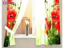 03563 ��������� "���� �� ������� ����"