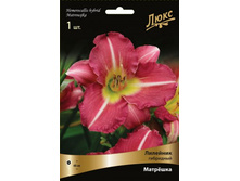 �������� ��������� ���ң���.jpg