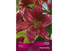 ����� ��� �����.jpg