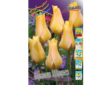 11,74���. ������� ����� ����(���������� ������ ������ ���������� �� 10 ��.)���16.jpg