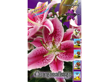 21,88���. ����� ����������(�������� ���� �� 5 ��., ����������� ����� 3��.).jpg