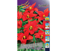 11,74���. ������� ���������(���������� ������ ������ ���������� �� 10 ��.).jpg