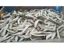 ������ ���������� ��� �������