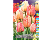 12,48���. ������� ������������(���������� ������ ������ ���������� �� 10 ��.).jpg