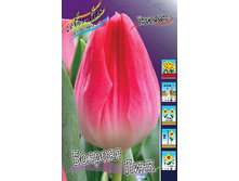 13,97���. ������� ������� ����(���������� ������ ������ ���������� �� 10 ��.).jpg