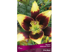 ����� ��� ����.jpg