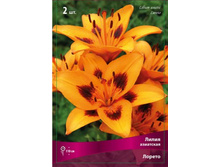 ����� ������.jpg