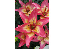 22,68���. ����� ������� ����(�������� ���� �� 5 ��., ����������� ����� 3��.).jpg