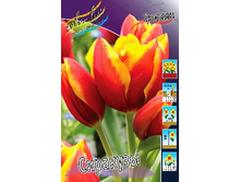 20,17���. ������� ��������(�������� ���� �� 7 ��., ����������� ����� 3��.).jpg