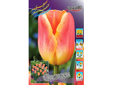 12,48���. ������� ��������(���������� ������ ������ ���������� �� 10 ��.)���16.jpg