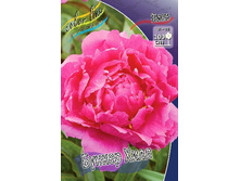 148,7���. ���� ������ ����(���������� ������ ������ ���������� �� 1 ��.).jpg