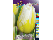 14,27���. ������� ����� ����(���������� ������ ������ ���������� �� 10 ��.).jpg