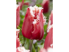 16,2���. ������� ��� �����(�������� ���� �� 10 ��., ����������� ����� 5��.).jpg