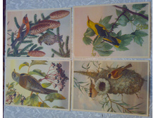 ���� ����� ����� (2).jpg