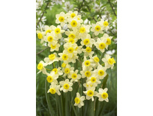 7,28���. ������� ������(���������� ������ ������ ���������� �� 10 ��.)���17.jpg