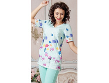 690 ���. - ������ "�����" 3861-2 ����/����