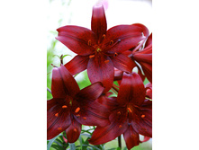 42,22���. ����� ���� ������(�������� ���� �� 5 ��., ����������� ����� 1��.).jpg