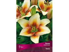 ����� �����.jpg