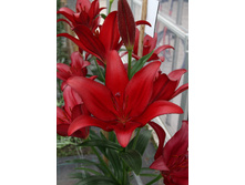 19,68���. ����� ������(���������� ������ ������ ���������� �� 10 ��.)���16.jpg