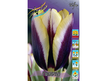 12,48���. ������� ������(���������� ������ ������ ���������� �� 10 ��.).jpg