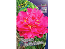 148,7���. ���� ������� �� �� �����(���������� ������ ������ ���������� �� 1 ��.).jpg