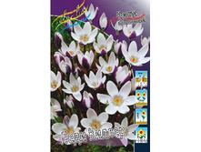 11,74���. ������ ���� ������ (����.)(���������� ������ ������ ���������� �� 10 ��.).jpg