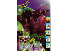 13,97���. ������� ������ ����(���������� ������ ������ ���������� �� 10 ��.).jpg