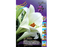 24,26���. ����� ���� ��(�������� ���� �� 7 ��., ����������� ����� 3��.).jpg