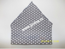 DSCN7474 (����������).jpg