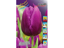 13,97���. ������� ������(���������� ������ ������ ���������� �� 10 ��.)���16.jpg