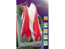 12,48���. ������� �������������(���������� ������ ������ ���������� �� 10 ��.).jpg