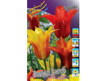 19,91���. ������� ������ �����(�������� ���� �� 10 ��., ����������� ����� 5��.).jpg