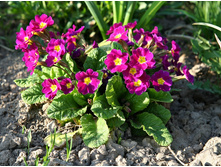 �������.