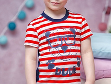 4096-2         429 ���.