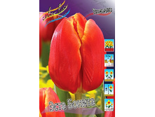 15,46���. ������� ���� ������(�������� ���� �� 10 ��., ����������� ����� 5��.)���16.jpg