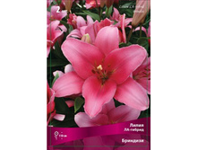 ����� ��������.jpg