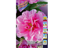 16,35���. ������� ����(�������� ���� �� 10 ��., ����������� ����� 5��.).jpg