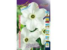 129,77���. ������� ������(�������� ���� �� 3 ��., ����������� ����� 1��.).jpg