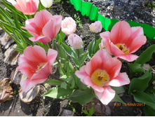 �������