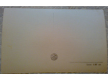 ����88 (1).jpg