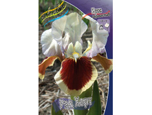 61,5���. ���� (pumila) ��� ����(�������� ���� �� 2 ��., ����������� ����� 1��.)���16.jpg