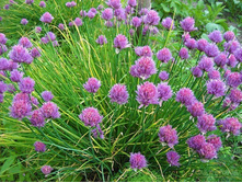 �����-���